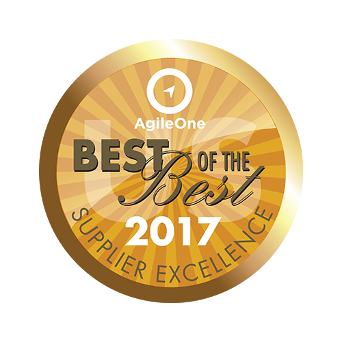 AgileOne Gold Award for Supplier Excellence - 2017