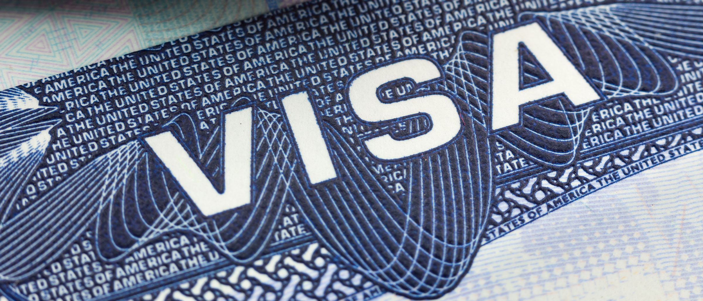 United States Work Visa Logo
