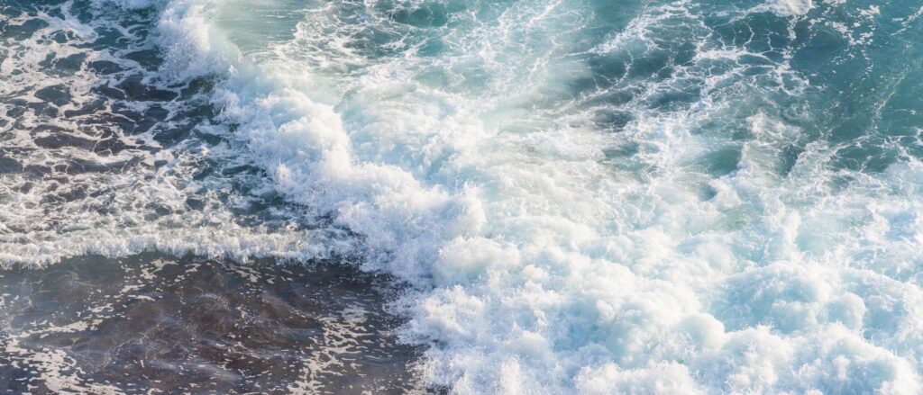 Navigating the Shifting Tides: How Transferable Skills Can Help You Land Your Next Job